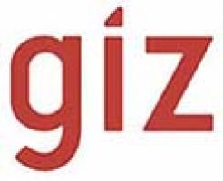 International Zusammenarbeit (GIZ) GmbH logo